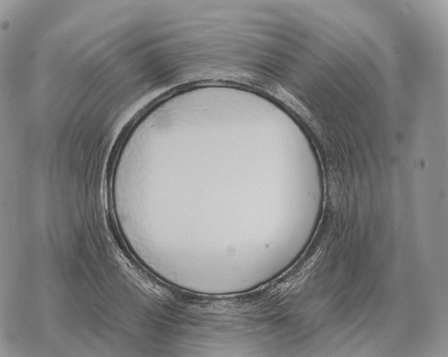 X0000072981028200608111736