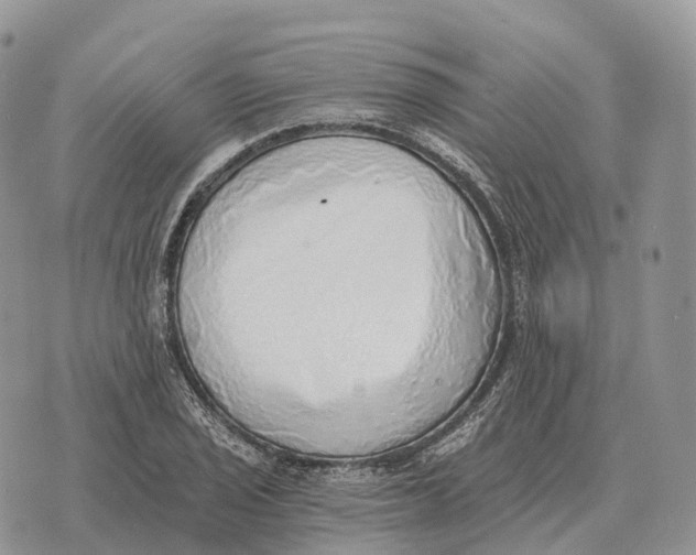 X0000072981029200608111736