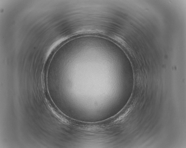 X0000072981030200608111736