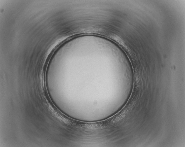 X0000072981032200608111736