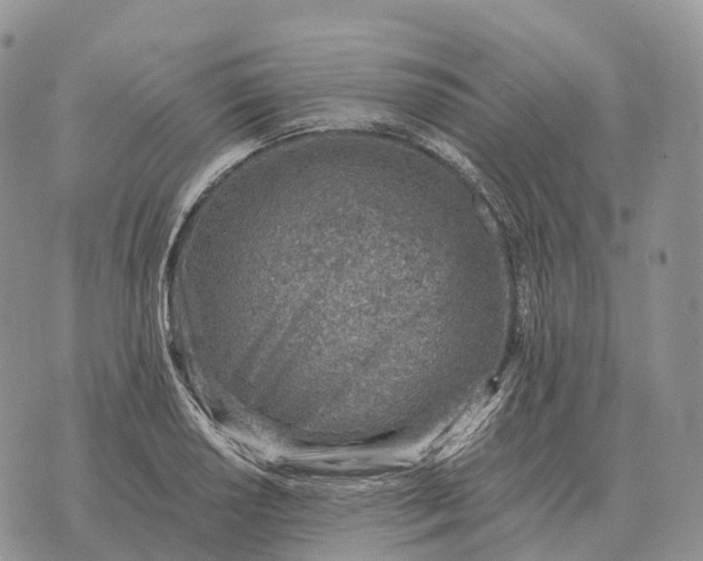 X0000072981034200608111736