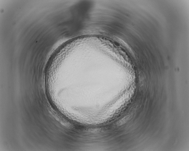 X0000072981035200608111736