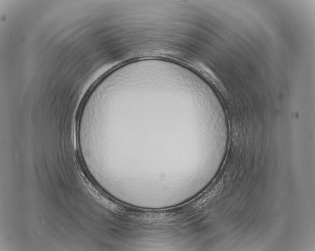 X0000072981036200608111736