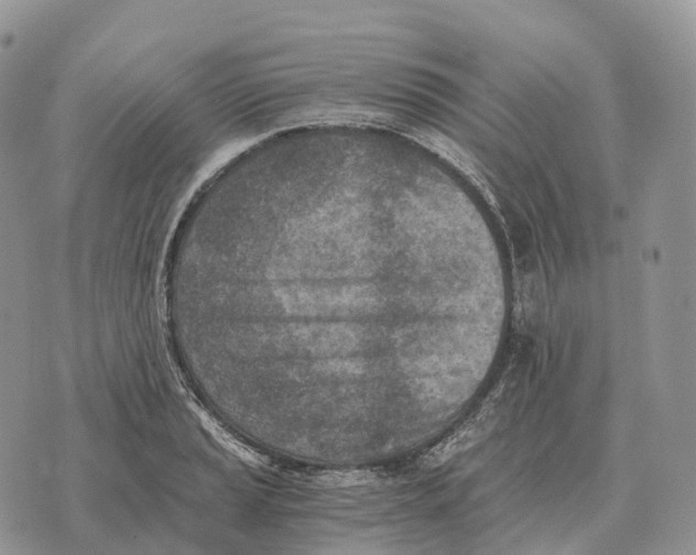 X0000072981037200608111736