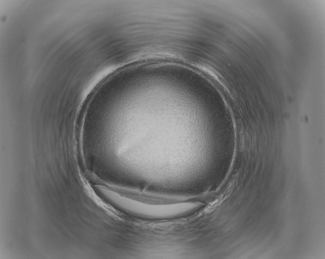 X0000072981038200608111736