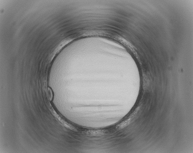 X0000072981041200608111736