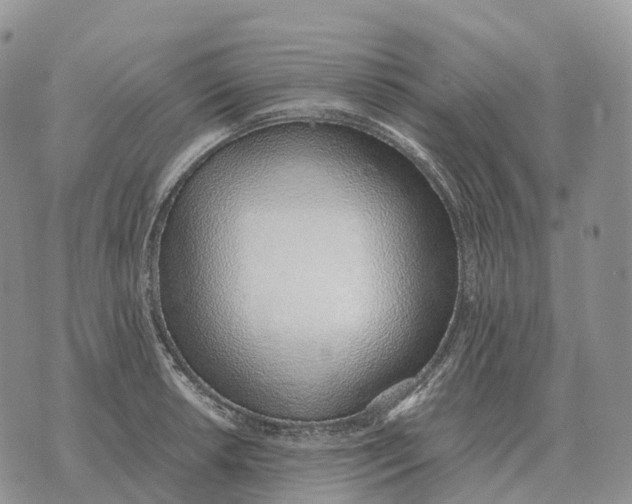 X0000072981042200608111736