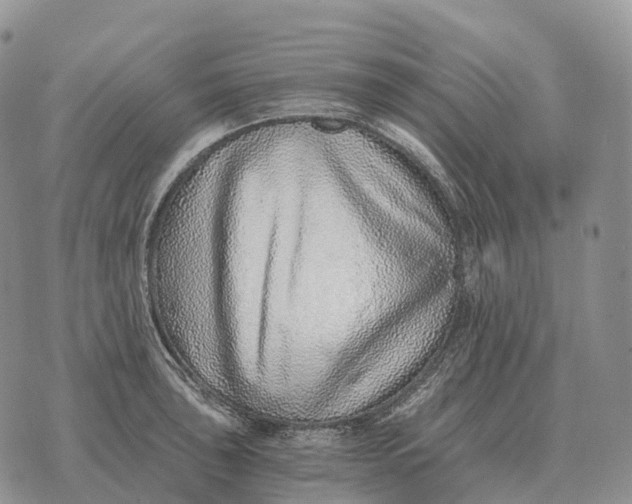 X0000072981043200608111736