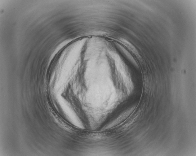 X0000072981044200608111736