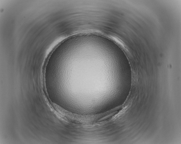 X0000072981046200608111736