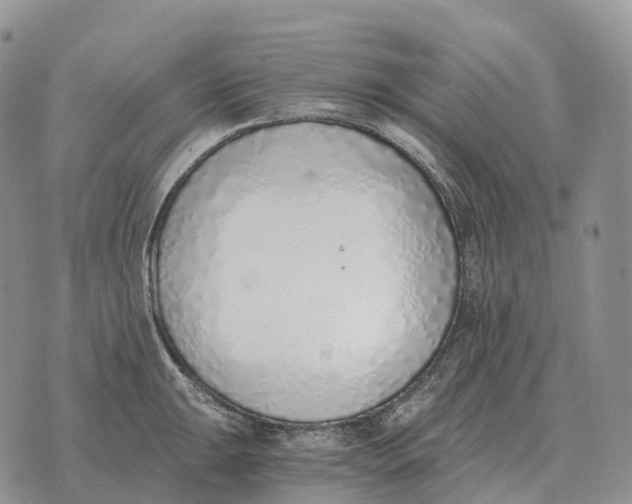 X0000072981047200608111736