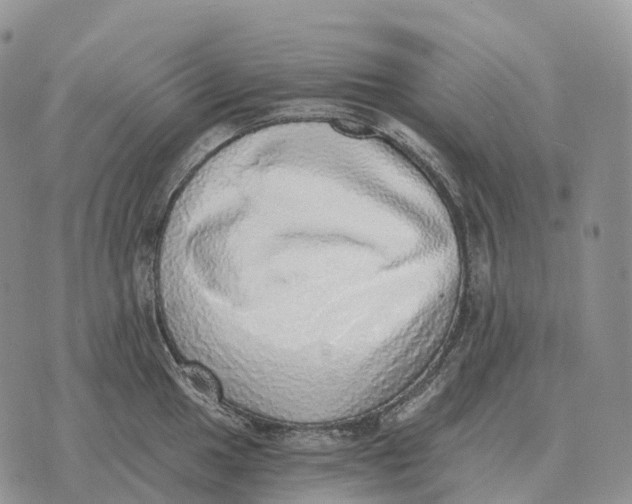 X0000072981049200608111736