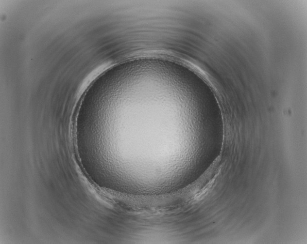 X0000072981050200608111736