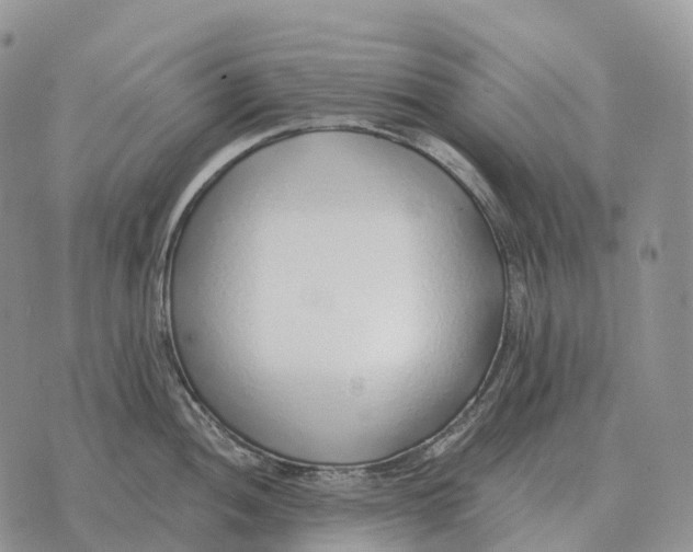 X0000072981052200608111736