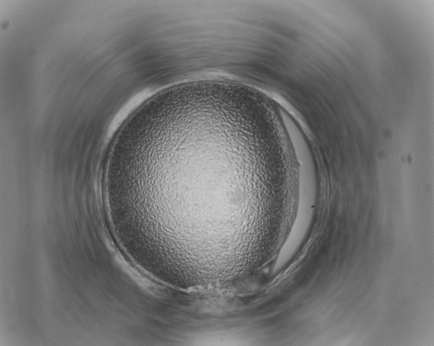 X0000072981054200608111736