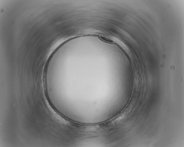 X0000072981055200608111736