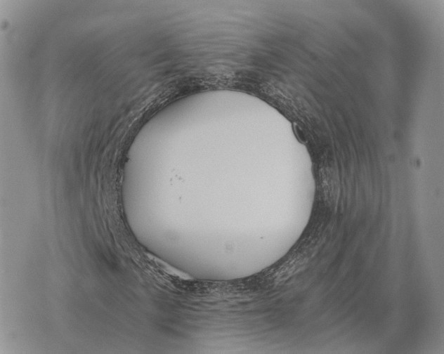 X0000072981057200608111736