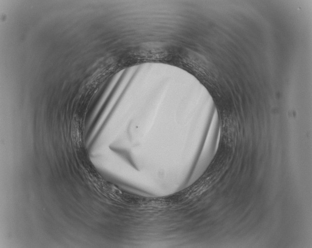 X0000072981058200608111736