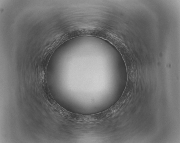 X0000072981061200608111736