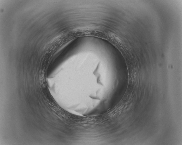 X0000072981062200608111736