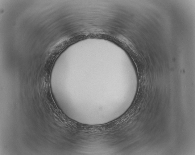 X0000072981063200608111736