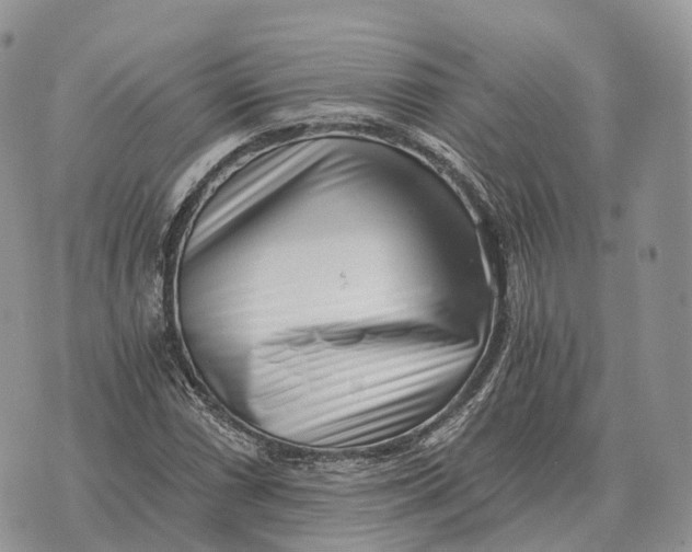 X0000072981066200608111736