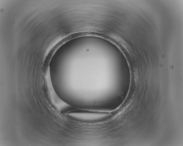 X0000072981069200608111735