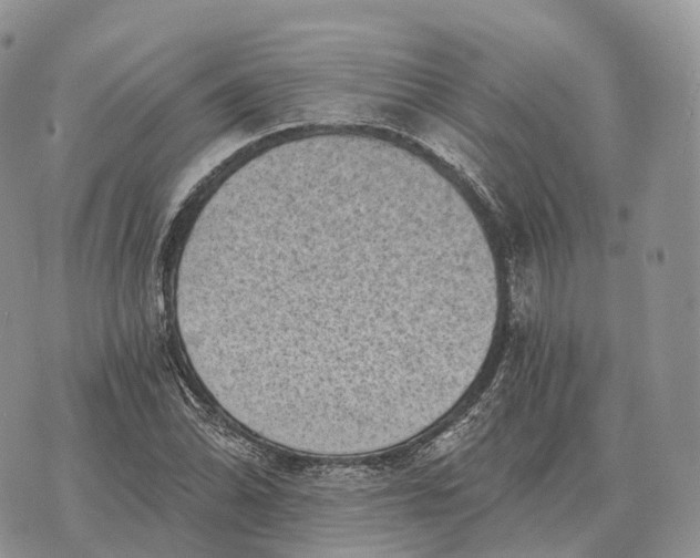 X0000072981070200608111735