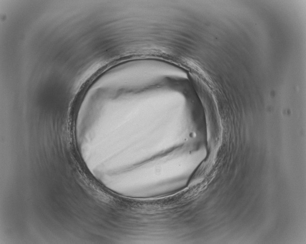 X0000072981071200608111735