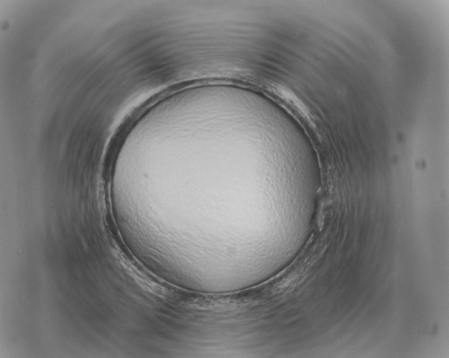 X0000072981072200608111735