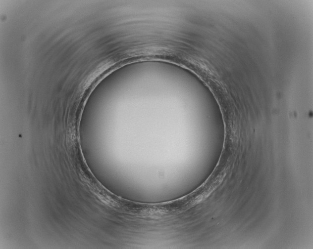 X0000072981073200608111735