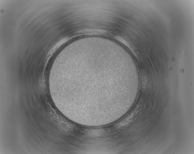 X0000072981074200608111735