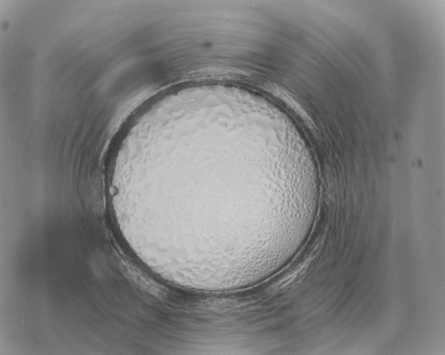 X0000072981075200608111735