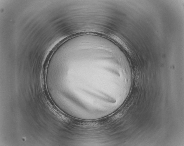 X0000072981076200608111735