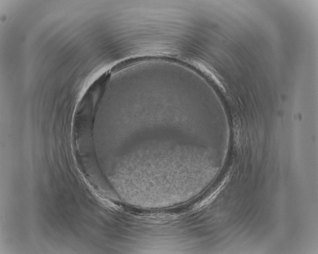 X0000072981077200608111735