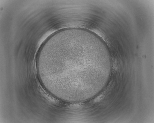 X0000072981078200608111735