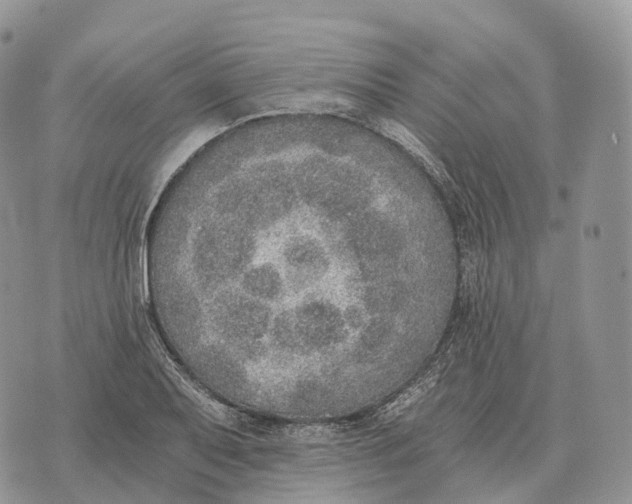 X0000072981079200608111735