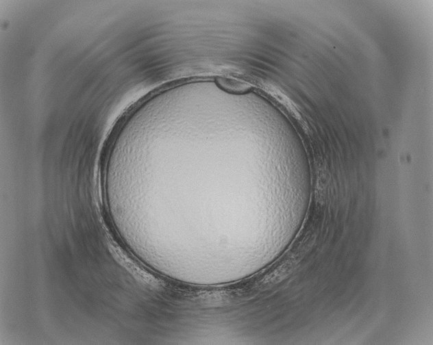 X0000072981080200608111735