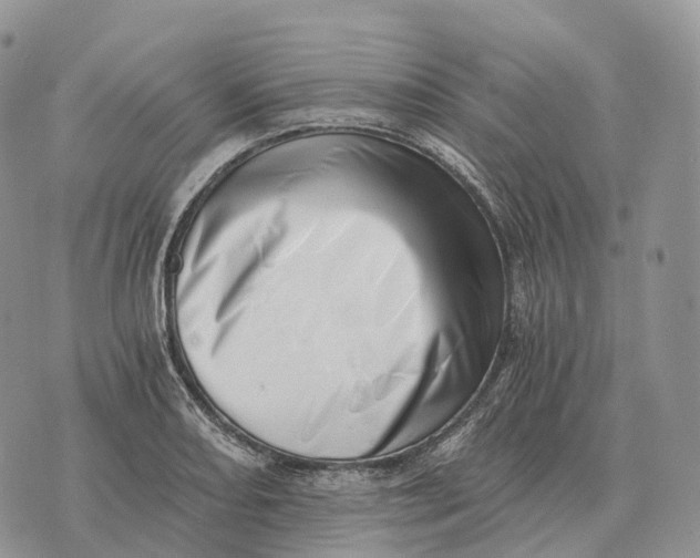 X0000072981082200608111735