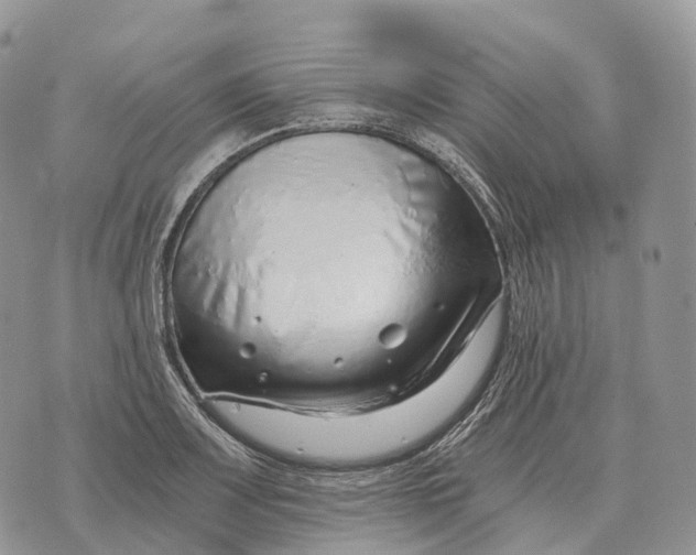 X0000072981083200608111735