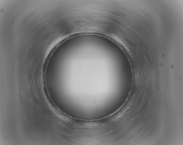 X0000072981085200608111735