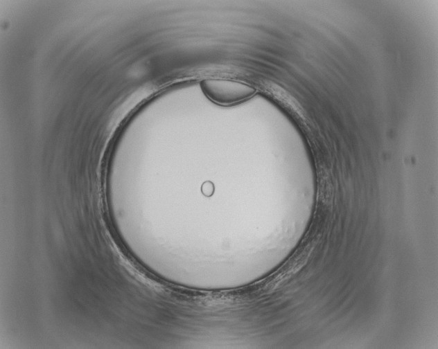 X0000072981087200608111735