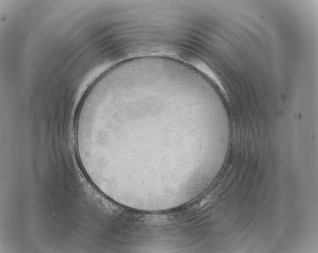 X0000072981088200608111735