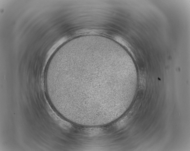 X0000072981090200608111735