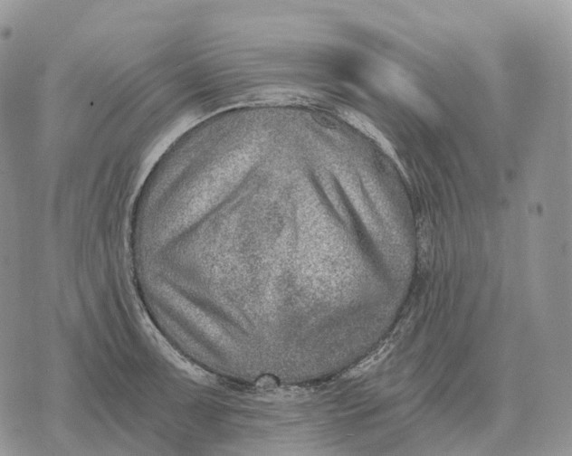 X0000072981091200608111735