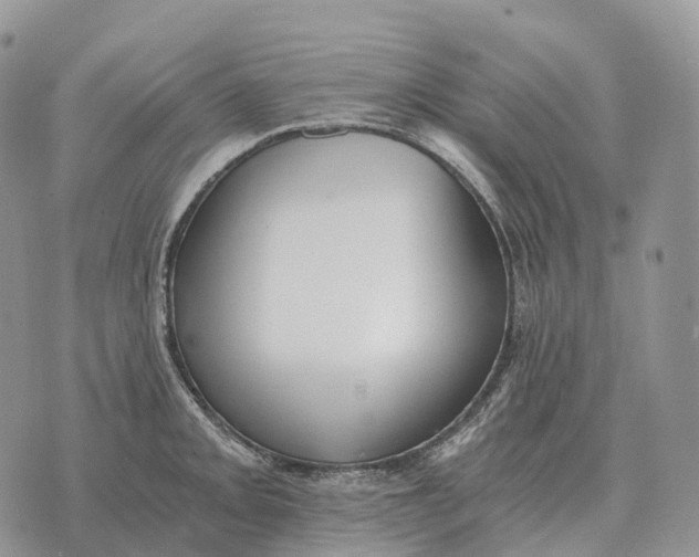 X0000072981093200608111735