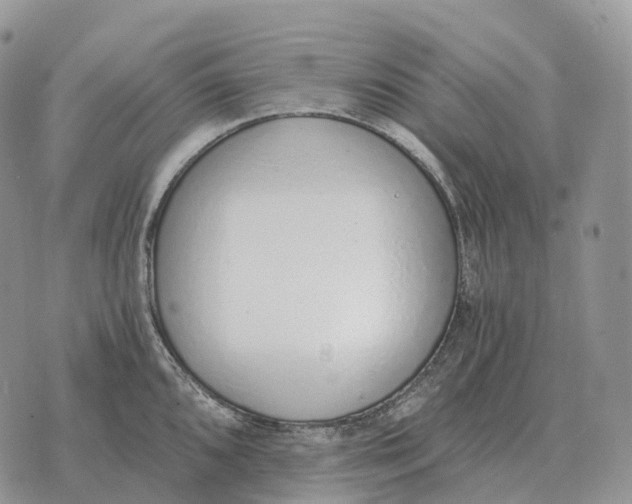 X0000072981096200608111735