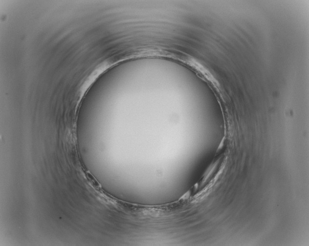 X0000072981097200608111735