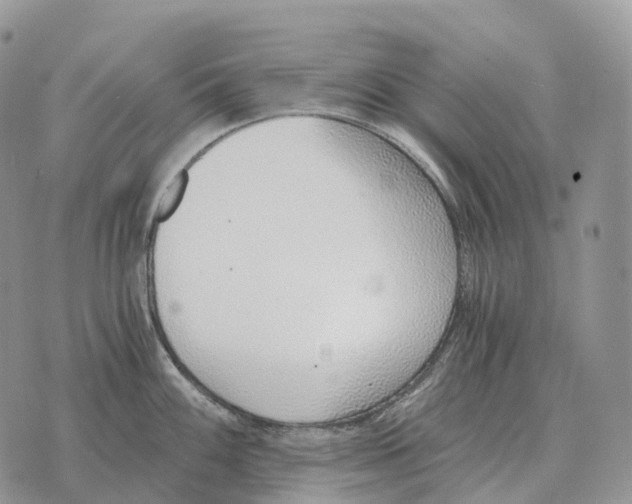 X0000072981100200608111735