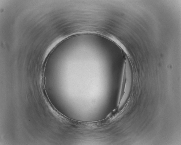 X0000072981101200608111735